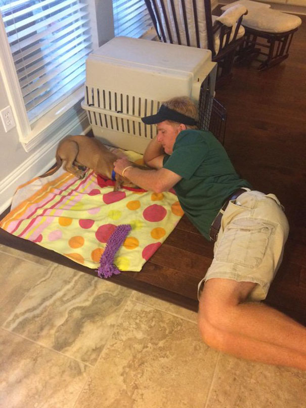 Dad: "I Don't Want A Dog" Dad: "I Don't Want A Dog"