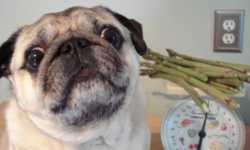 Asparagus