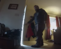 Hidden Camera Reveals What Your Dog Does When You’re Not Home – A Must See!