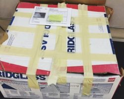 A Box Was Left At The Shelter, And The Smell Was Horrible. So They Opened It…