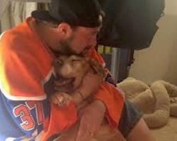 Kevin Smith Shares Moving Tribute To His Dying, 17-Year-Old Dog
