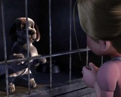 21 Must-Watch Short Films Featuring Dogs That Will Make You Want To Go Hug Your Pup