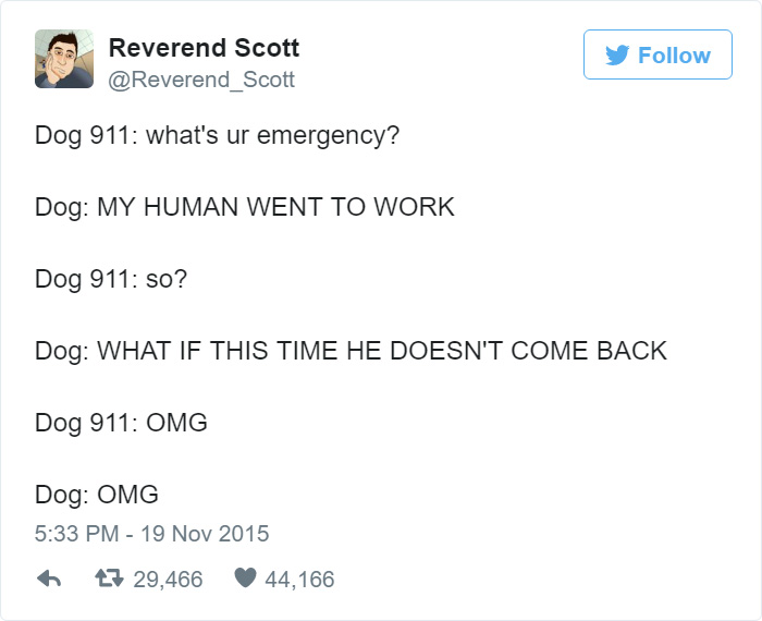 Dog 911 Dog 911
