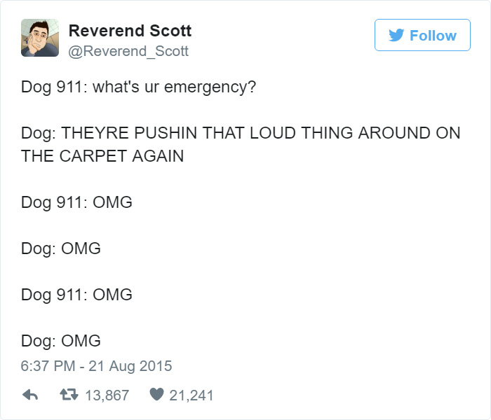 Dog 911 Dog 911