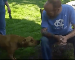 Dog Doesn’t Recognize Owner Who Spent 5 Weeks In Hospital Until He Sniffs Him