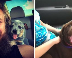 10+ Heartwarming Reactions When Rescue Dogs Met Their Humans For The First Time