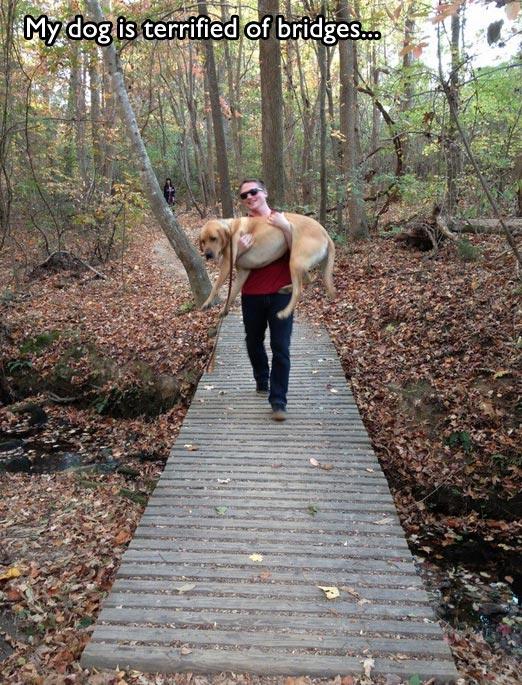 dog_owners_understand_2