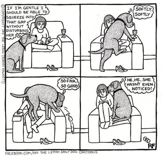 dog_owners_understand_3