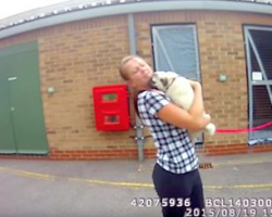 Her Dog Is Stolen And She’s Beyond Devastated… Watch Their Happy Reunion!