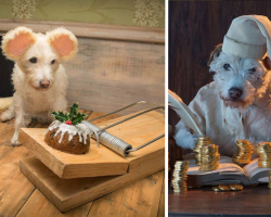 Photographer Dresses Up His Dog Every Year For The Family Christmas Card
