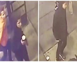 13 Teenagers Follow Man Leaving Restaurant, Kick His Dog & Beat Up Others