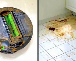 Roomba Tries Cleaning Dog Poop, Makes An Epic Mess & Dad Has To Clean Up