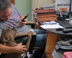 Woman Walks In On Her Fiancé Singing Sweetly To Their Dog