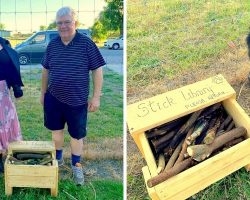 59-Yr-Old Thrills Local Dogs, Builds Them A “Stick Library” From Waste Branches