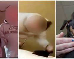 Malicious Teen Grabs Puppy By Neck, Slams & Punches Her In Snapchat Video