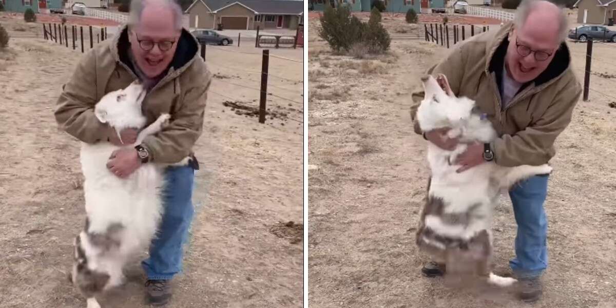 Deaf And Blind Dog Immediately Recognizes Her Grandpa After A Year