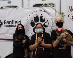 Animal Balance Crowdfunding for Free Veterinary Care in Navajo Nation