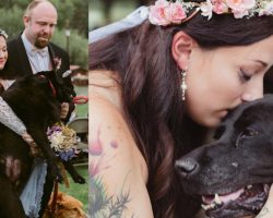 Maid of Honor Carries Bride’s Dying Dog Down Aisle in Beautiful Ceremony