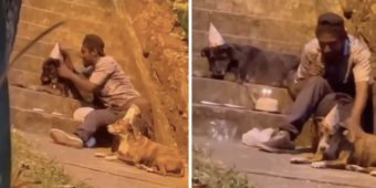 Homeless man seen throwing sweet birthday party for his beloved dog