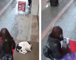 Wet, frozen dog tries to take shelter: Then woman’s actions are caught on camera and go viral