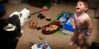 Toddler Can’t Stop Laughing As He Learns To Howl With His Husky Friend