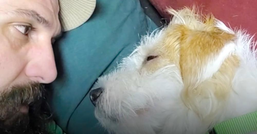 New Dog Wouldn’t Look Him In The Eye Because Her Past Left Her Defeated