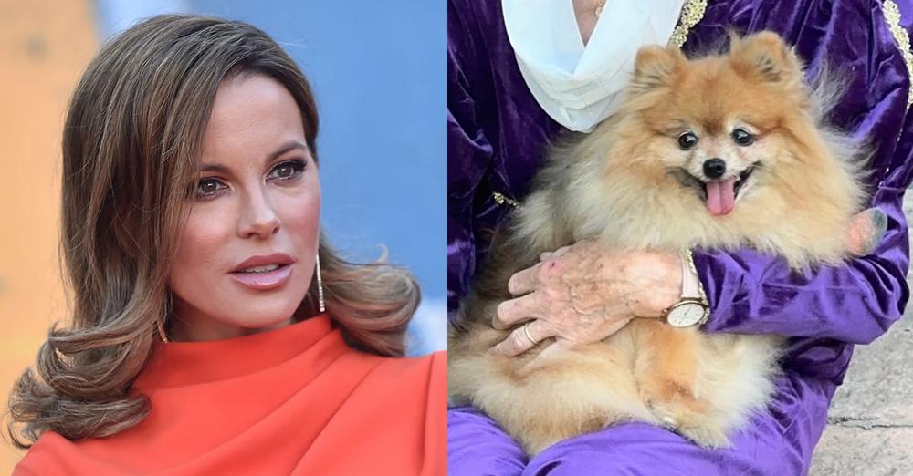 Kate Beckinsale suffers Fourth of July scare after pet dog ran away from fireworks