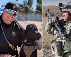 Army veteran says he was fired from his job over his service dog
