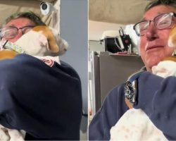 Man Cries When Daughter Hands Him A Puppy To Mend His Grieving Heart