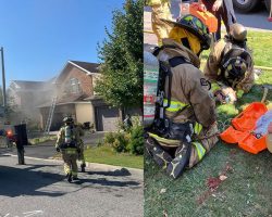 Firefighters praised as heroes after saving dogs from burning home, reviving one who lost vital signs