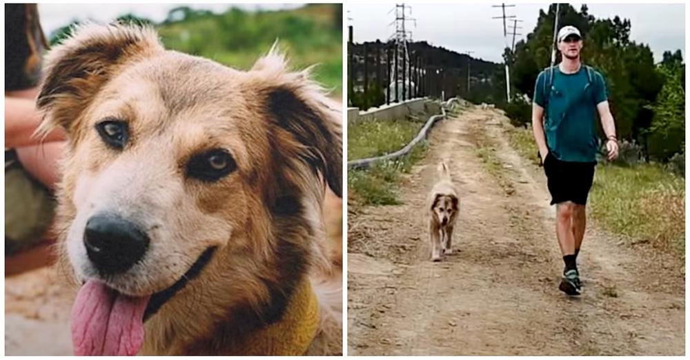 Man Adopts Dog and Travels 18,000 Miles Around the World with Her Over a 5-Year Period