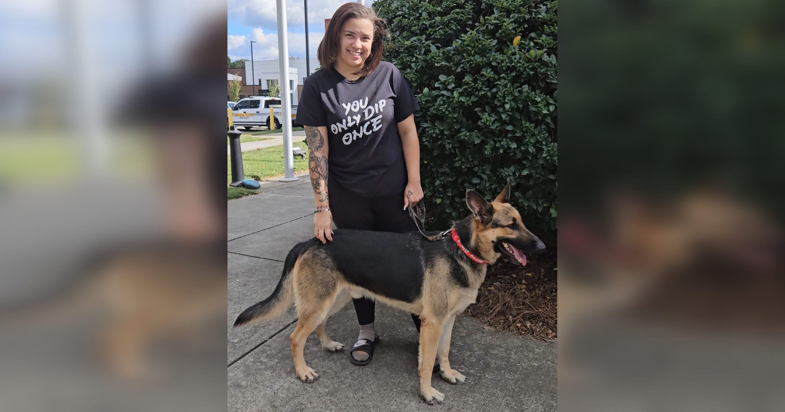 Woman visits shelter a year after dog went missing — and spots a very familiar face