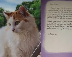 Woman forms special bond with neighbor cat, gets a touching letter after the cat dies