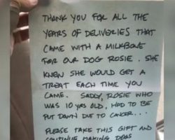 “I Was Heartbroken” UPS Driver Receives Special Farewell Note From Dog With Cancer