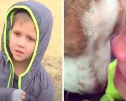 Little Boy’s Dog Was Missing For A Month, When Mom Calls Her Son Over