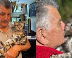 Keith Hernandez says goodbye to beloved cat of 22 years, Hadji: “See you in another life”