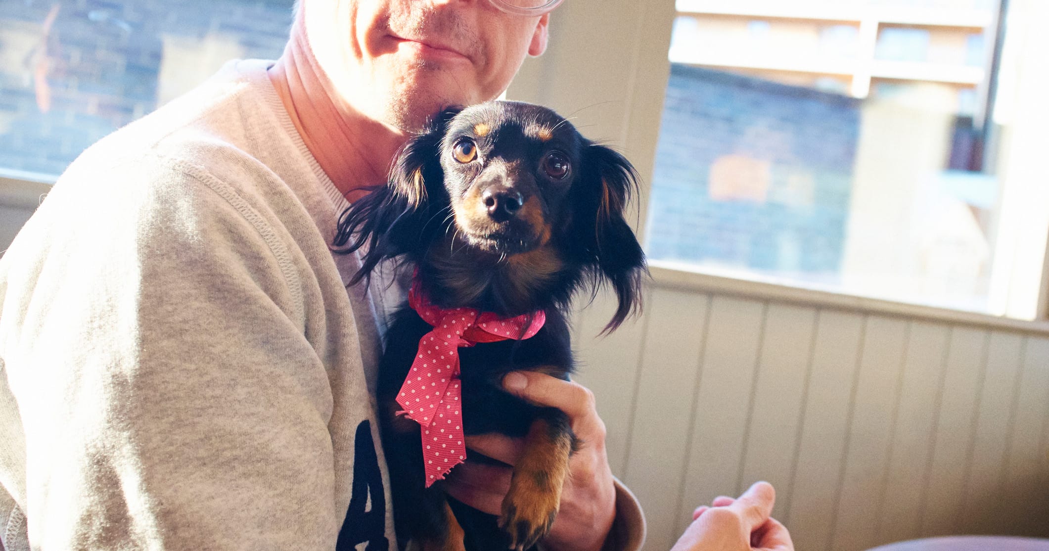 Wife is upset after husband brought home puppy without telling her — why the internet is on her side