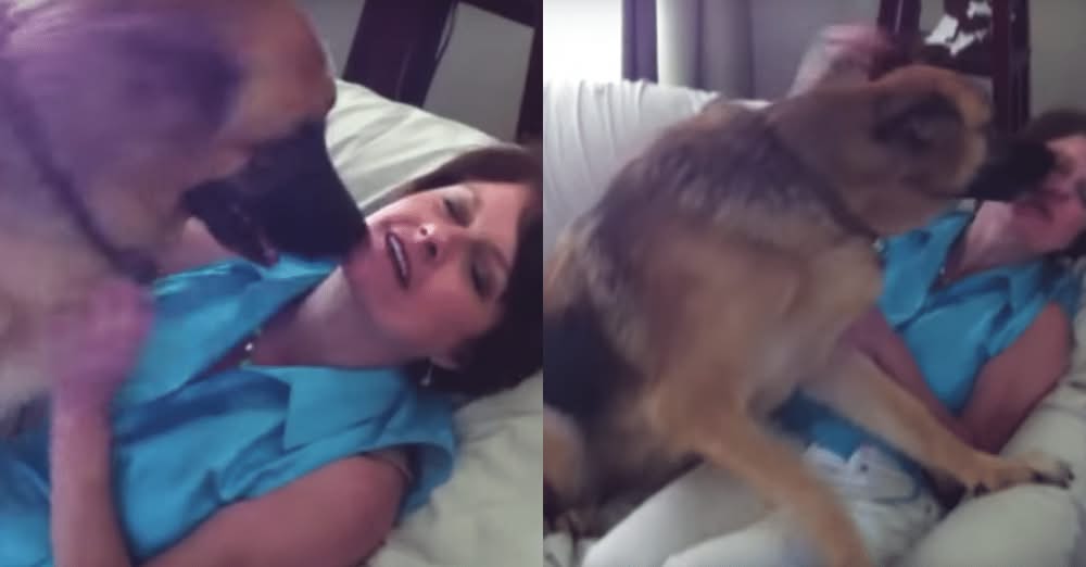 German Shepherd Can’t Hide How Much He Misses His Mom