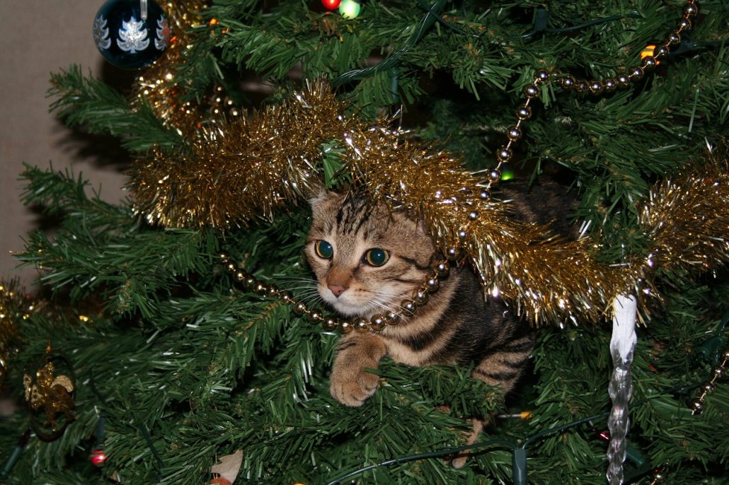 Keep your pet from destroying the holidays with this cat-proof Christmas tree