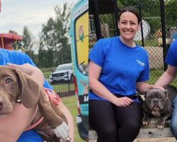 Husband Pays Adoption Fees for 40 Shelter Dogs For Wife’s 40th Birthday