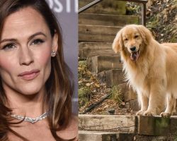 Jennifer Garner mourns beloved dog Birdie in sweet social media tribute: “angel girl”