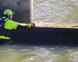 Firefighters rescue scared Chihuahua stuck under bridge, even as dog resists their help