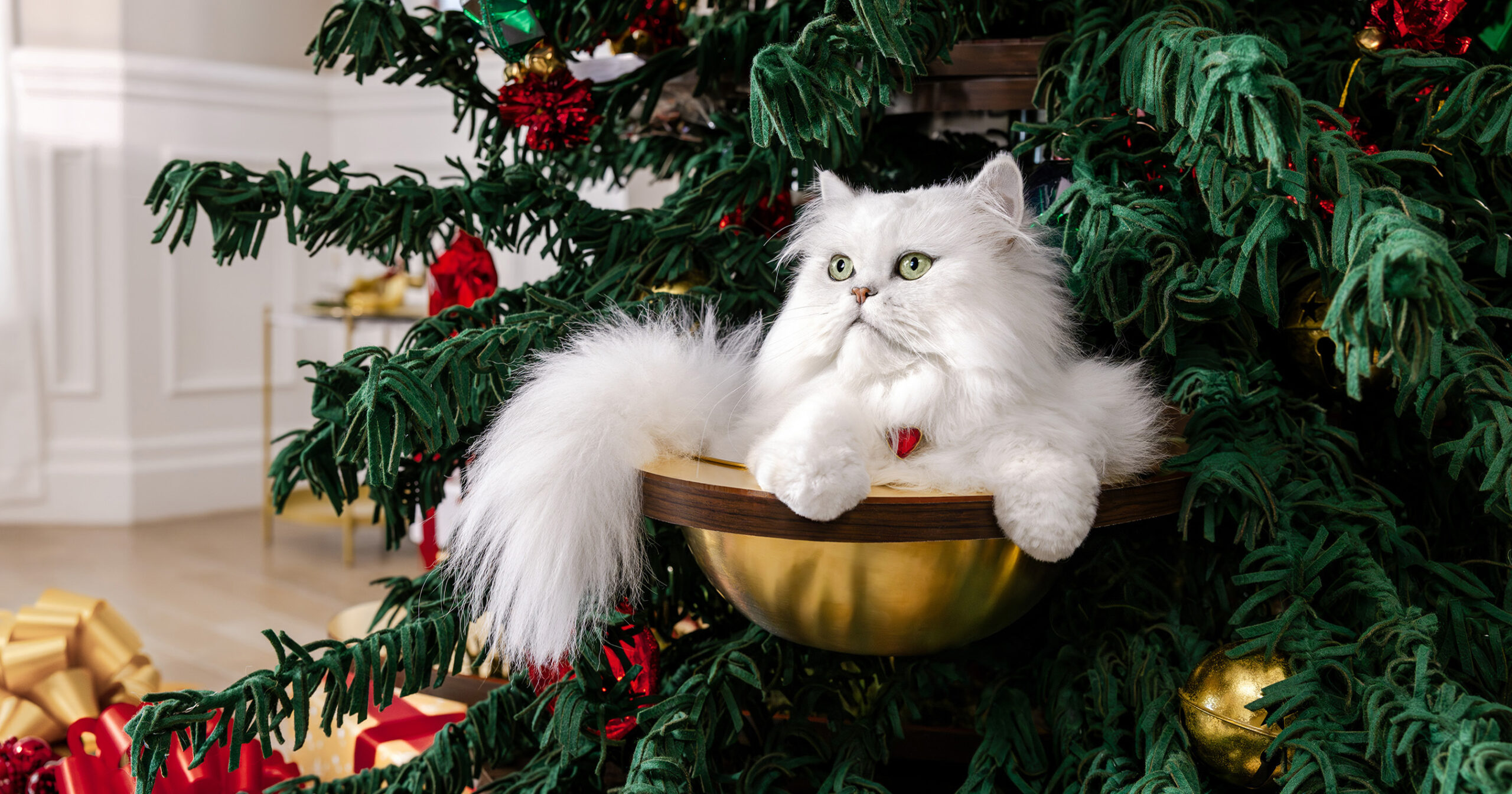Fancy Feast is giving away cat-friendly Christmas trees this season — see what makes them so unique