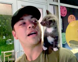 Reluctant boyfriend raises the kitten he didn’t want