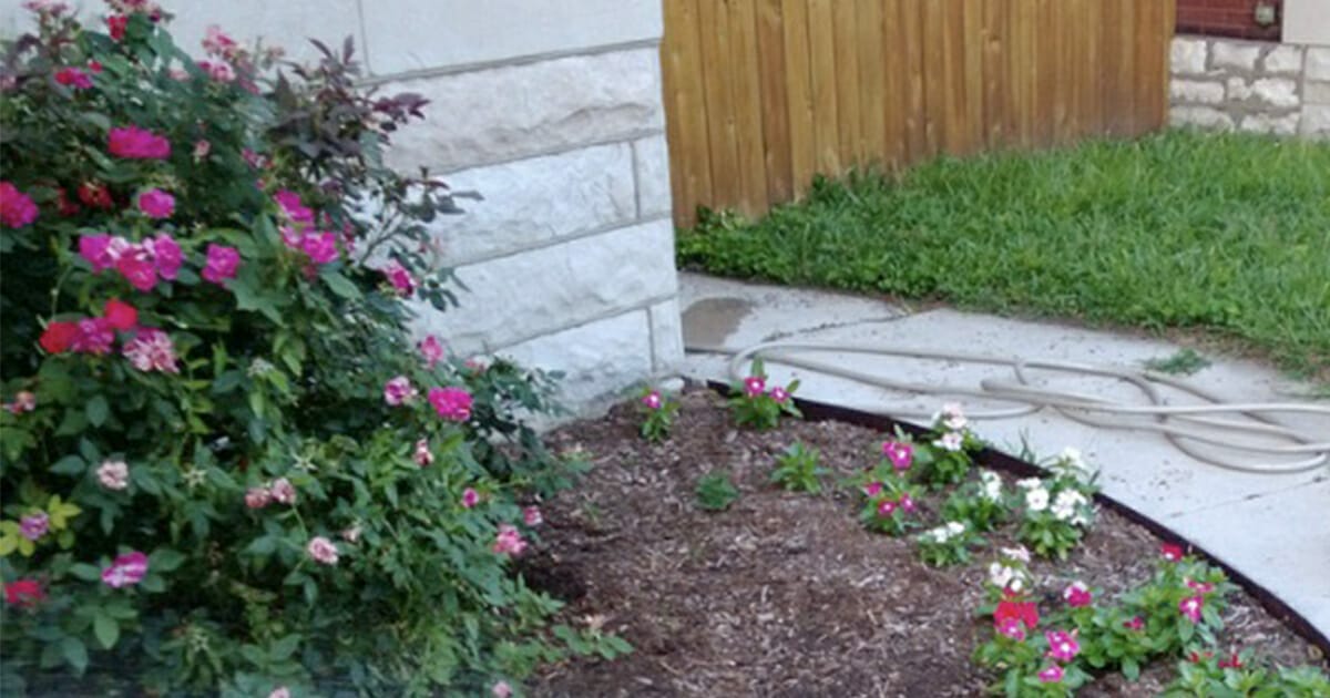 Woman keeps finding pink flowers on her porch – one day she finally catches her secret admirer in action
