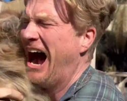 Man reunites with dog 5 days after wildfire devastation