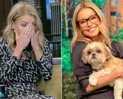 Kelly made the “toughest” decision after Chewie began eating less and less for weeks