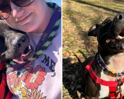 Dog Can’t Stop Smiling During ‘Special Outing’ After Spending 886 Days In Shelter