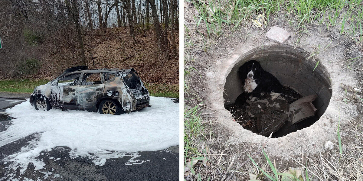 Car Fire Leads to a Miracle Rescue of a Long-Lost Dog