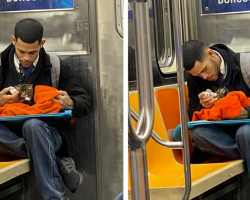 Man Seen Bottle-Feeding Tiny Kitten on Subway Restores People’s Faith in Humanity